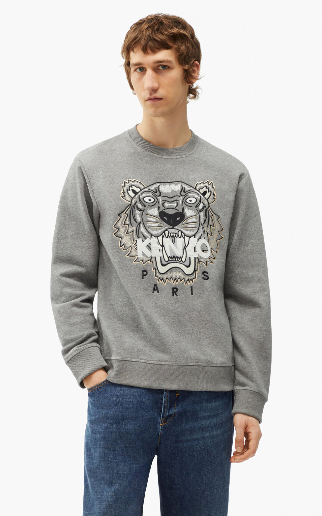 Kenzo Tiger Dukserice Muške - Sive - Hrvatska GCTWFV956